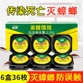 除蟑螂药全窝一窝强效端灭蟑螂神器厨房蟑螂贴一名家用蟑螂胶饵