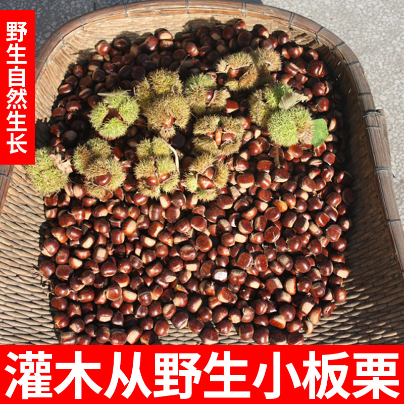 【坏果包赔】江西野生新鲜毛栗子 农家现摘小板栗油锥栗即食包邮,水产肉类/新鲜蔬果/熟食,新鲜板栗/板栗仁,淘宝优惠券,粉丝福利购,淘宝优惠卷