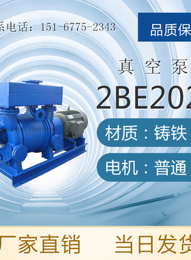 2BE203/2BE252/2BE253/2BE303/2BE353大型水环式真空抽气泵