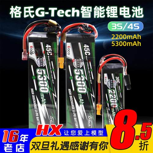格氏Gtech智能充锂电池3S/4S