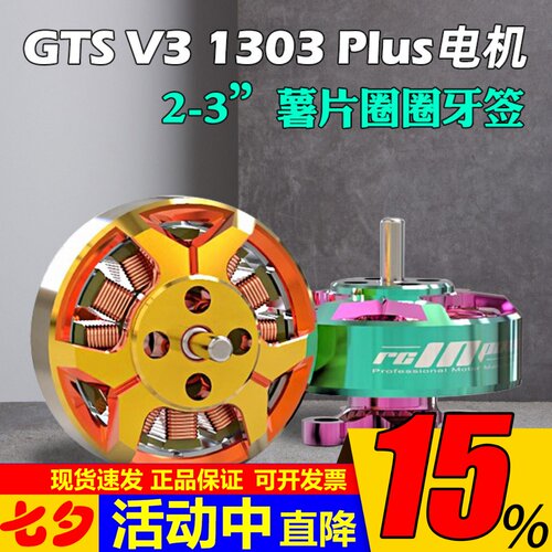 致盈动力GTSV31303plus电机
