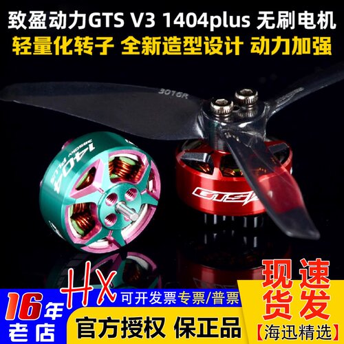 致盈动力GTSV31404Plus电机
