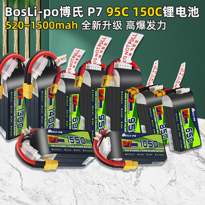 锂电池600/650/850/950博氏正品