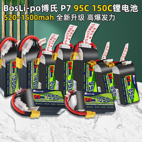 锂电池600/650/850/950博氏正品