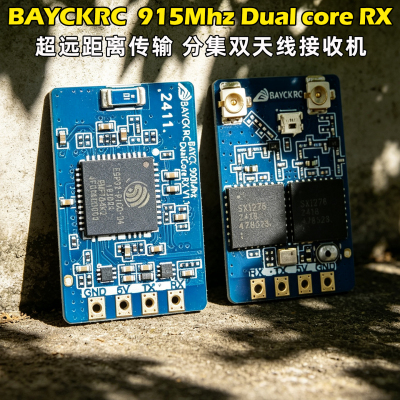 BAYCK接收机915MhzDualcoreRX