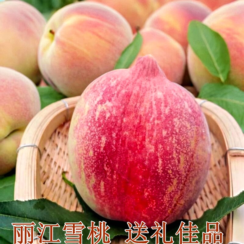 正宗云南孕妇雪桃丽江雪桃
