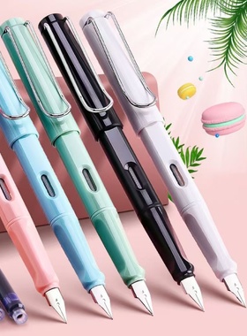 学生正姿钢笔莫兰迪复古色男女孩初学者墨囊墨水明尖男士老师送礼