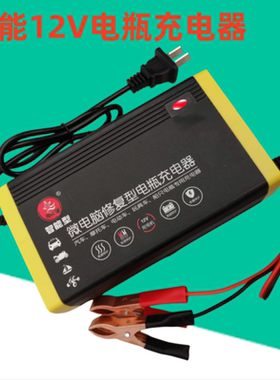 12V20AH32AH36AH45AH60AH电瓶充电器12伏铅酸蓄电池智能修复通用