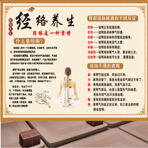 经络养生简介墙纸中医馆诊所背景展板海报装饰画经络疏通推拿壁纸