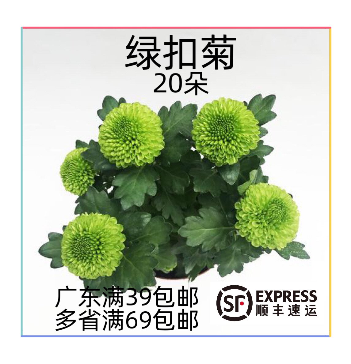 绿彩菊小雏菊酒店餐饮摆盘点缀