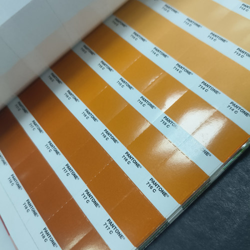 正版PANTONE潘通单张单片色卡C色卡单张单片色号对色比色