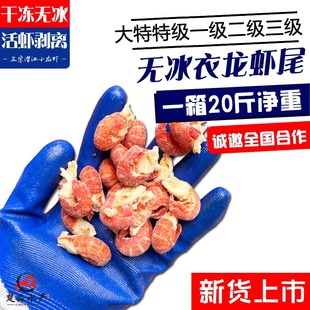 潜江速冻干冻虾尾冰冻小龙虾尾大特特级一级二级10件起发冷藏运输