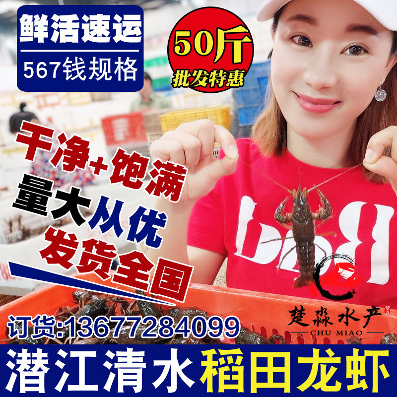 潜江鲜活稻田清水青红小龙虾30/50斤起发567钱硬规格特大活体水产