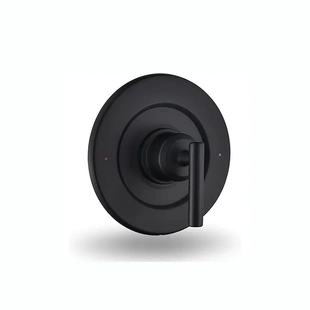 Mo，en Single Lever Handle T2901BL Trim Kit