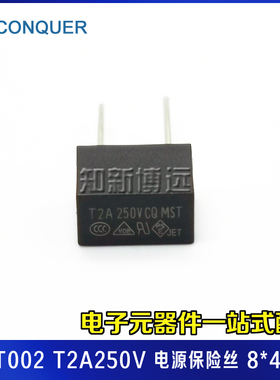 MST002 功得电源保险丝 T2A250V 微型 慢熔断  黑色插件 方形塑封