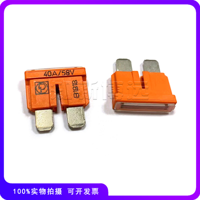 力特中号汽车保险丝40A58V