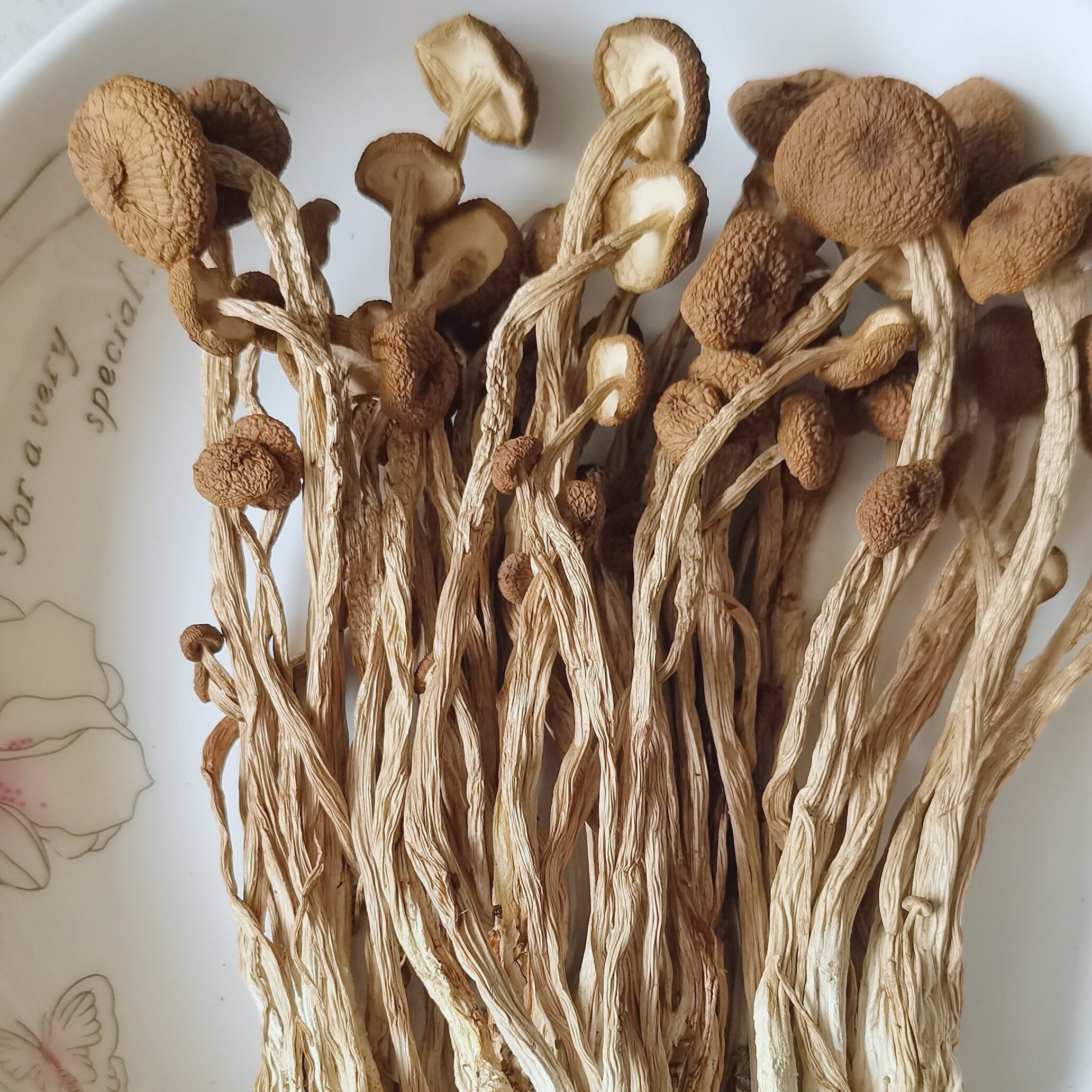 新鲜广昌农家茶树菇干货500g不开伞茶薪菇特级香菇