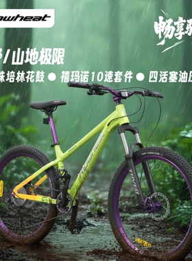 RIPWHEAT26轮径单速10速变速越野四碟刹整车土坡山地车青少年绿色