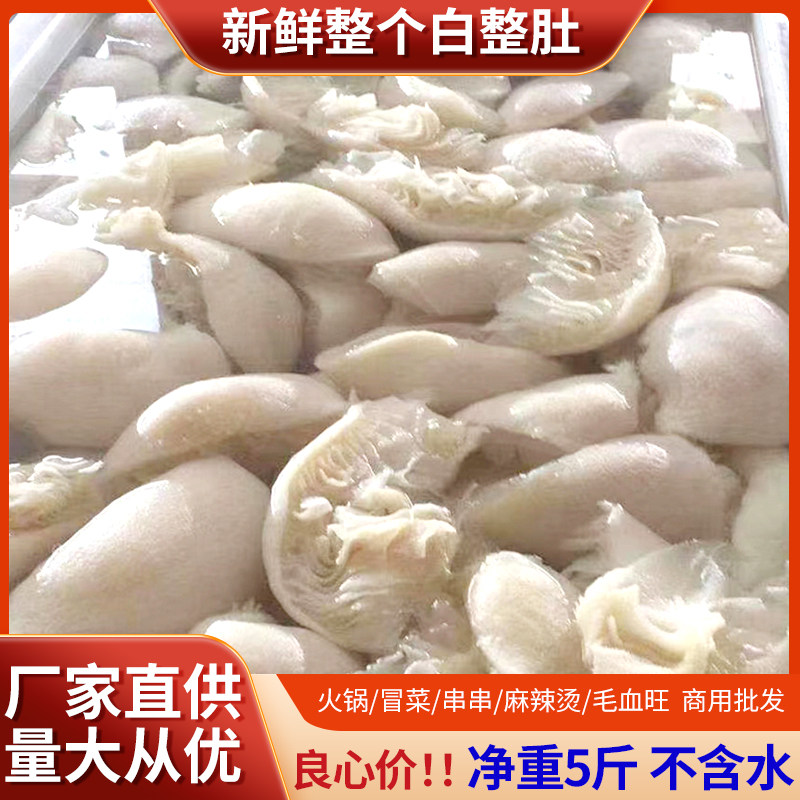 四川重庆火锅白毛肚整个带底板净5斤新鲜整包精品整只原毛肚冷冻