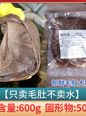 重庆火锅毛肚大叶片爽脆牛百叶火锅配菜牛肚新鲜冷冻商用毛肚