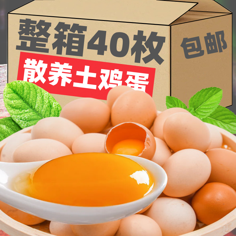TJD河南特产果园散养土鸡蛋新鲜柴鸡蛋农家笨鸡蛋草鸡蛋生鸡蛋