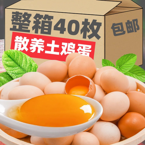 河南果园散养土鸡蛋新鲜柴鸡蛋