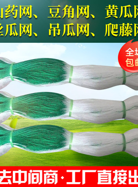 植物爬藤网种瓜豆角吊瓜丝瓜苦瓜黄瓜百香果专用网种植攀爬农用网