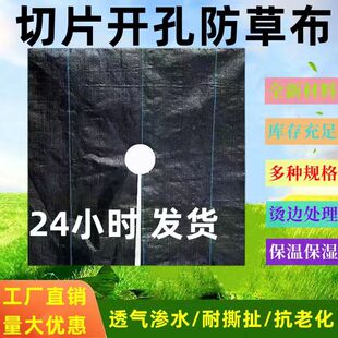 防草布果园果树遮盖草布农用透气保湿除草布地膜园艺大棚切片地钉
