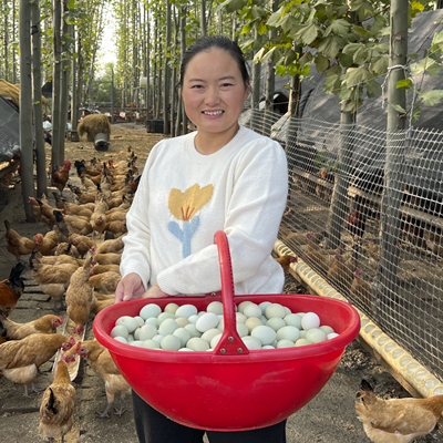 农家散养鸡蛋   单枚38-50g左右