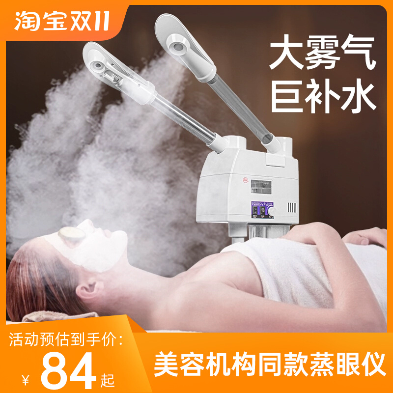 泰东冷热喷雾机热喷仪美容院专用家用面部蒸汽补水冷热双喷蒸脸器