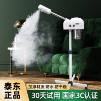 泰东热喷仪美容院专用冷热双喷雾蒸脸器打开毛孔脸部补水疗仪家用