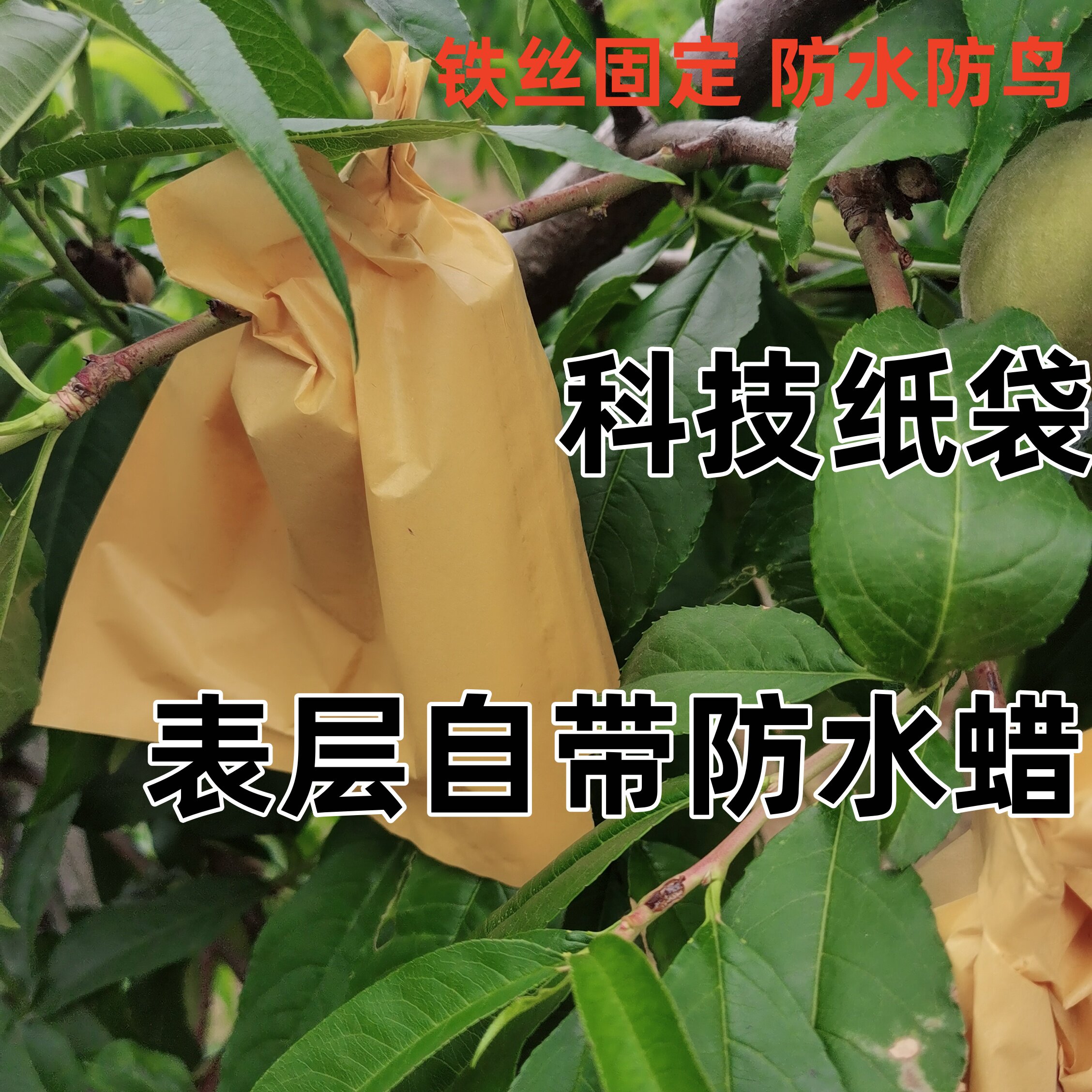果袋套袋阳山水蜜桃桃树专用纸袋黄桃梨套袋防虫防水油膜科技纸袋