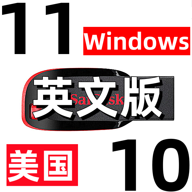 windows 10 美版英语 win 11 英文 win11 win10 ltsc 系统安装u盘