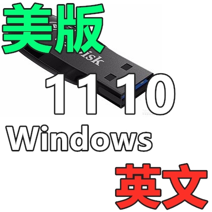 美版英文 Windows 11 英语专业工作站 Win 10 企业版 系统安装U盘