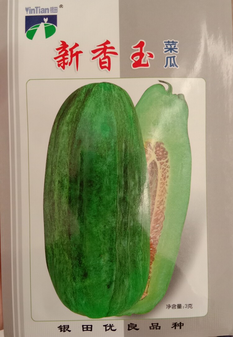 菜瓜种子新香玉菜瓜种籽绿皮绿肉吊瓜种子 梢瓜种孑春季蔬果种籽
