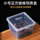 蜘蛛饲养盒昆虫饲养盒昆虫幼体饲养盒小方盒爬宠昆虫采集盒蜘蛛盒