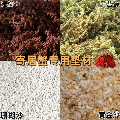 寄居蟹专用沙垫材珊瑚沙免洗菲律宾沙子砂石寄居蟹椰土饲养用品