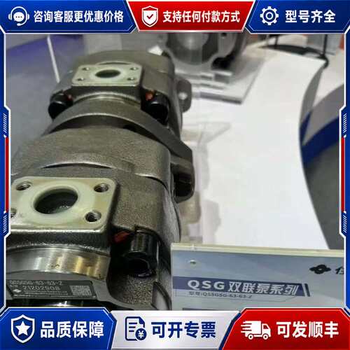 议价QS5G5G-63-63--Z可维修