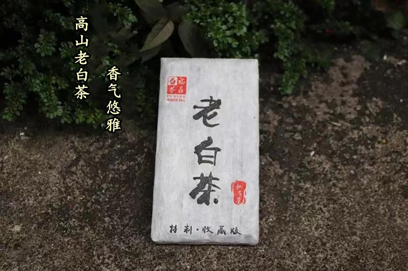 福鼎白茶 2013年高山陈年 老白茶球巧克力砖春茶寿眉 茶叶