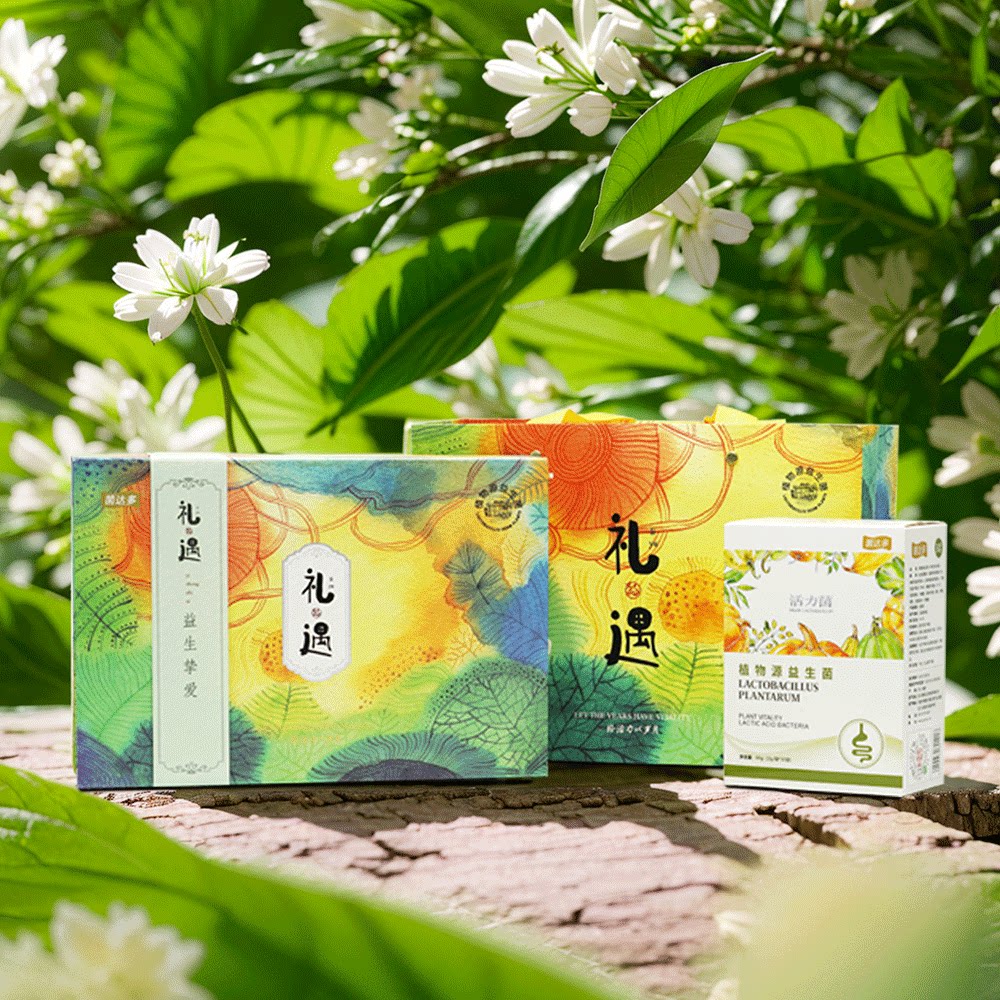 菌达多植物源益生菌礼盒两盒装五益生菌
