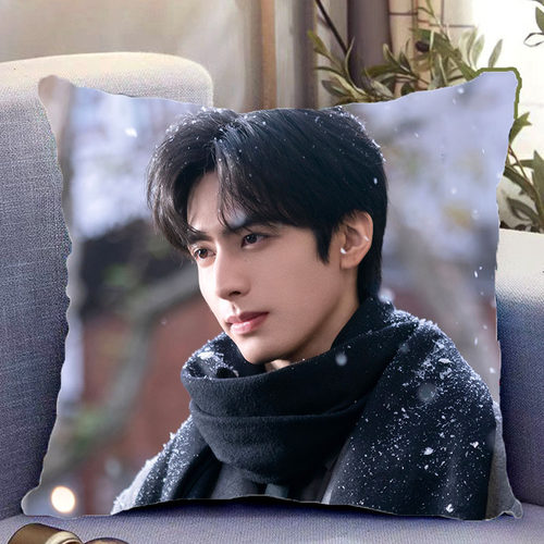 宋威龙周边抱枕骄阳似我林屿森