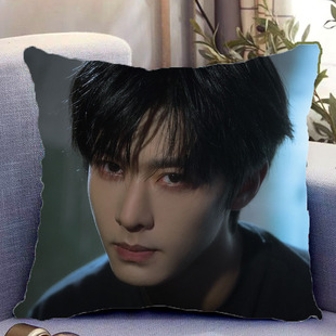 程相周边双面抱枕人物照片同款靠枕靠垫带枕芯枕头套生日礼物定制