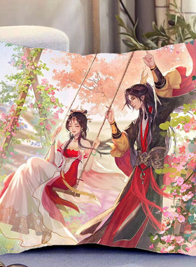 成何体统周边双面抱枕照片同款带枕芯靠枕靠垫枕头生日礼物可定制