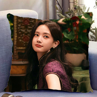 李一桐周边双面抱枕人物照片同款靠枕靠垫带枕芯枕头套礼物可定制