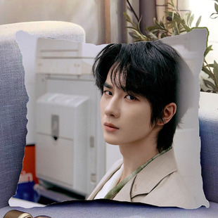 李宏毅周边双面抱枕照片同款靠枕靠垫带枕芯睡觉枕头套礼物可定制