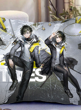 管理员明日方舟终末地周边双面抱枕照片带枕芯靠枕垫枕头礼物定制