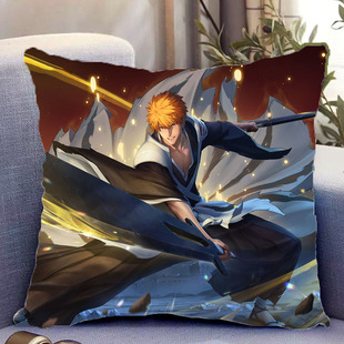 王者荣耀宫本武藏周边双面抱枕照片带枕芯靠枕靠垫枕头套礼物定制