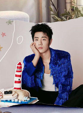 肖战周边双面抱枕人物照片同款靠枕靠垫带枕芯枕头套生日礼物定制