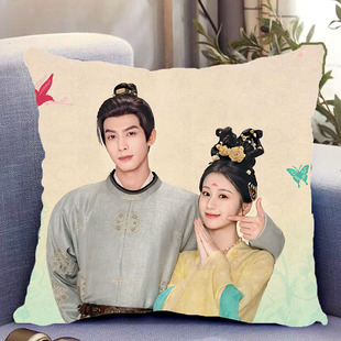 韶华若锦周边双面抱枕宋威龙包上恩带枕芯靠枕靠垫枕头礼物可定制