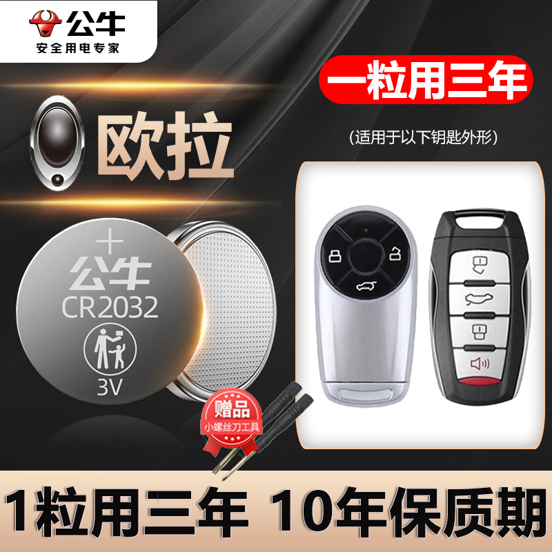 长城欧拉汽车钥匙专用电池